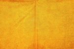 Dupion Printed Silk