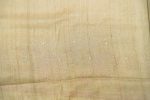 Pure Tussar Saree with Embroidery