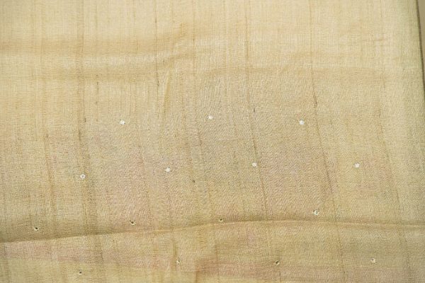 Pure Tussar Saree with Embroidery
