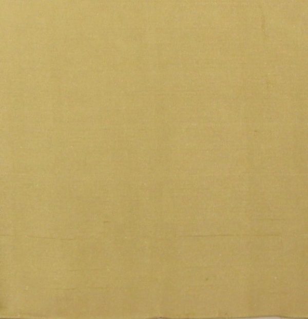 Pear Green Soft Silk Saree with Zari Pallu