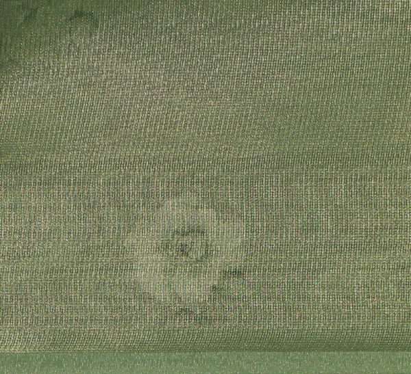 Spring Green Semi Tissue Saree with Floral Digital Prints