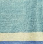 Pure Tussar Silk Saree in Blue with All-Over Prints