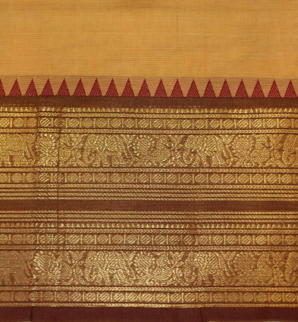 Amber Shine Kanchi Chettinad Cotton Saree Contrast Border