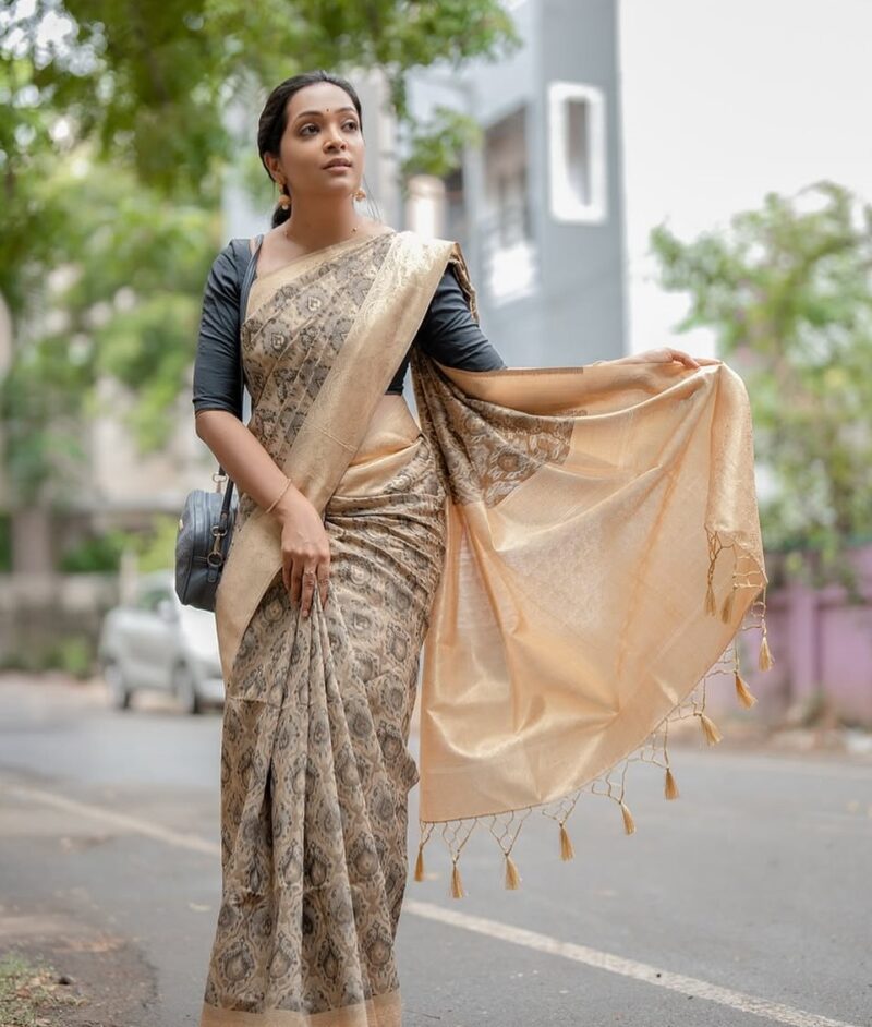 casual saree With Model photo