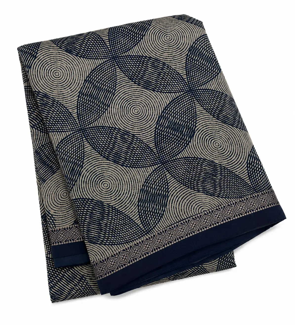 Pastel Mint Chanderi Saree With Geometric Work