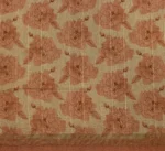 Terra Cotta Shades Semi Tussar Saree