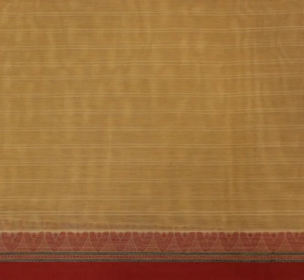 Pear Green Handloom Kovai Cotton Saree