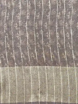 Gray Tussar Silk Saree Silver Zari Border In Blouse
