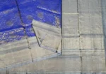 Handloom Pure Soft Silk Saree in Blue