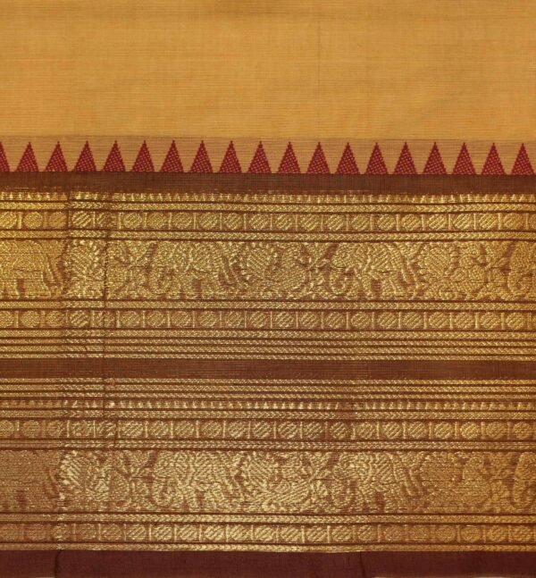 Amber Shine Kanchi Chettinad Cotton Saree Contrast Border