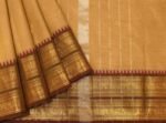 Amber Shine Kanchi Chettinad Cotton Saree Contrast Border