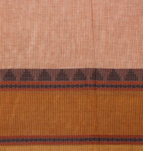 Pastel Orange Kovai Cotton Saree
