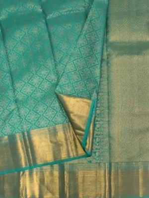 Kanchivaram Silk Saree In Self Color Shade In CloseUp