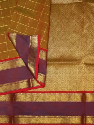 Narayan-pet-saree-gold-shade-02.webp