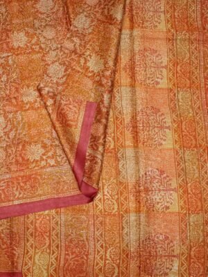 Rust Orange Pure Tussar Silk Saree (2)