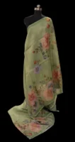 Spring Green Semi Tissue Saree with Floral Digital Prints