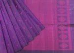 Pure Handloom Raw Silk Saree In Dual Tone