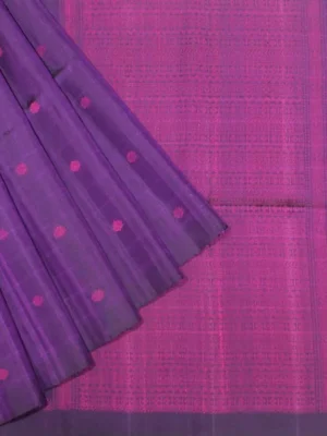Pure Handloom Raw Silk Saree In Dual Tone
