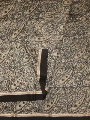 Close-up of Kalamkari paisley and floral prints with contrast black border on Ivory Cream Pure Chanderi Cotton Saree