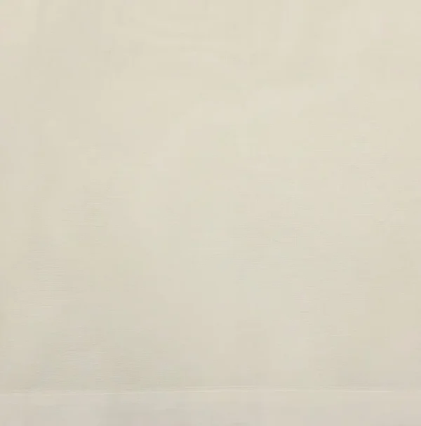 Pure Handloom Kovai Cotton Saree In Off White
