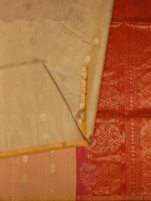 Beige Cream Pure Silk Cotton Saree (2)