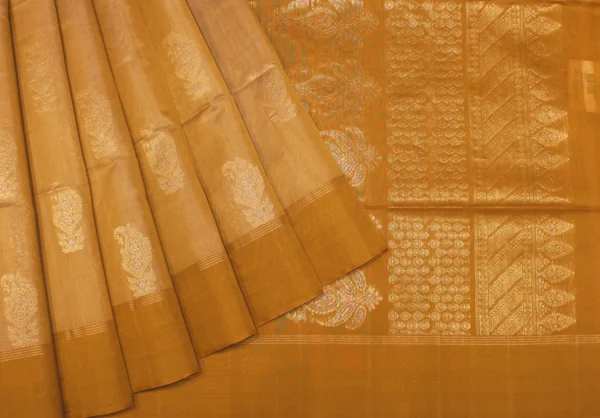 Beige Honey Gold Pure Silk Cotton Saree