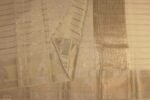 Cream Gold Kota Tissue Saree