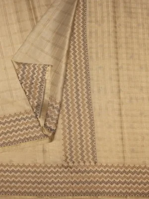 Close-up of woven checks and antique gold chevron border on Off White Semi Tussar Saree