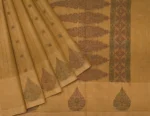 Pure Handloom Kovai Cotton Saree In Warm Beige