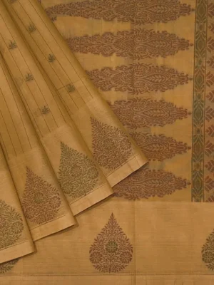 Pure Handloom Kovai Cotton Saree In Warm Beige