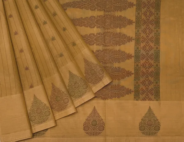 Pure Handloom Kovai Cotton Saree In Warm Beige