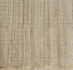 Sandal Beige Semi Tussar Saree