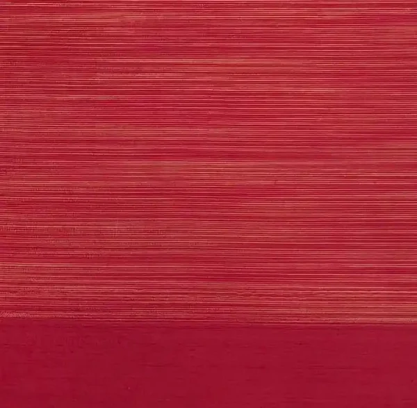 Pure Handloom Kovai Cotton Saree In Coral Orange Shade