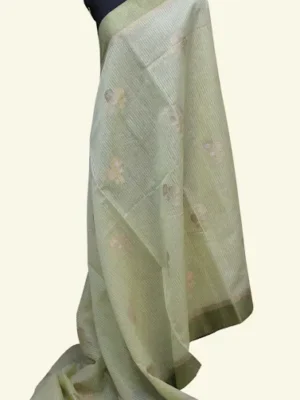 Light Pastel Green Semi Chanderi Saree