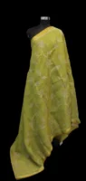 Parrot Green Tissue Linen Saree