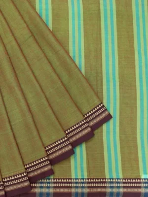 Premium Cotton Collection In Sage Green
