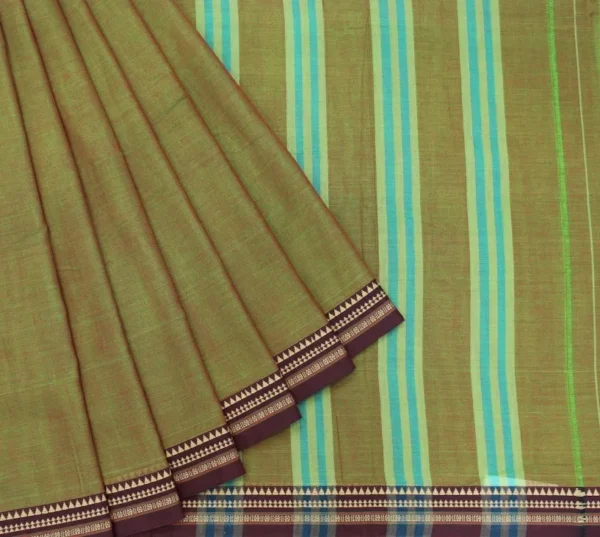 Premium Cotton Collection In Sage Green