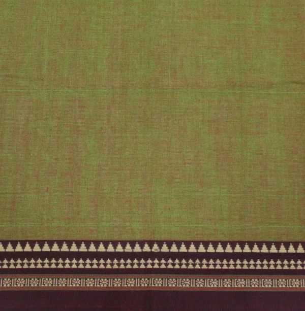Premium Cotton Collection In Sage Green