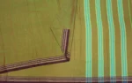 Premium Cotton Collection In Sage Green