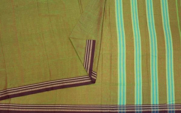 Premium Cotton Collection In Sage Green