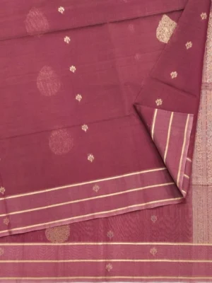 Closeup Brownish Maroon Pure Silk Cotton Saree with Gold Zari Peacock Buttas
