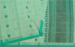 Sea Green Handloom Pure Kovai Cotton Saree